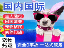 东郊机场空运国际宠物托运 【国